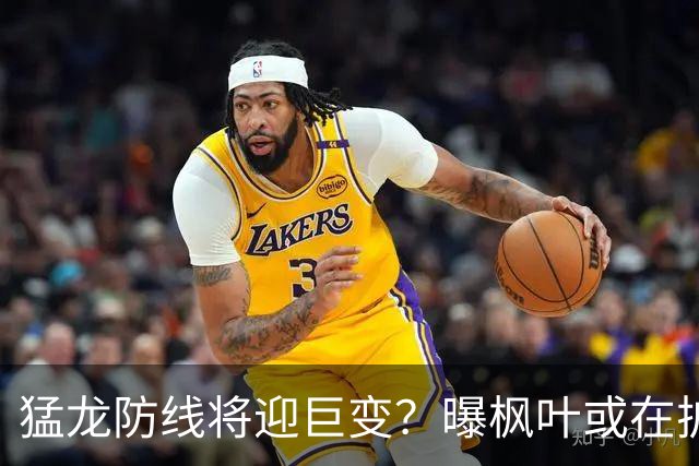 猛龙防线将迎巨变？曝枫叶或在扩军选秀中放弃摩根·里利